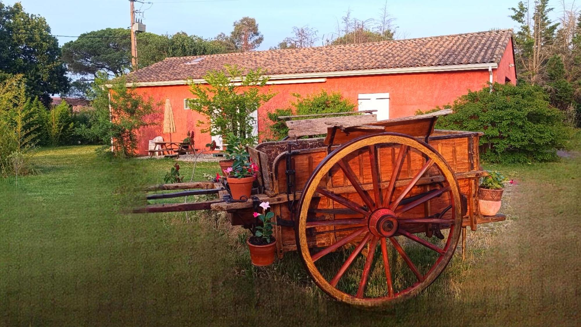 Datcha La Charrette Lavaur  Εξωτερικό φωτογραφία